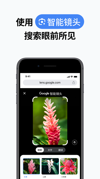 谷歌浏览器 界面截图